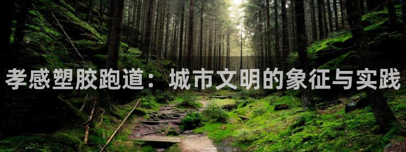 红足一1世开奖记录:孝感塑胶跑道:城市文明的象征与实践