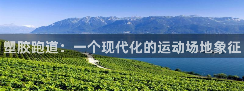 红足1世足球比分 localhost:塑胶跑道:一个现代化的运动场地象征