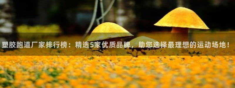 百度红足一1是什么样子的:塑胶跑道厂家排行榜:精选5家优质品牌,助您选择最理想的运动场地!