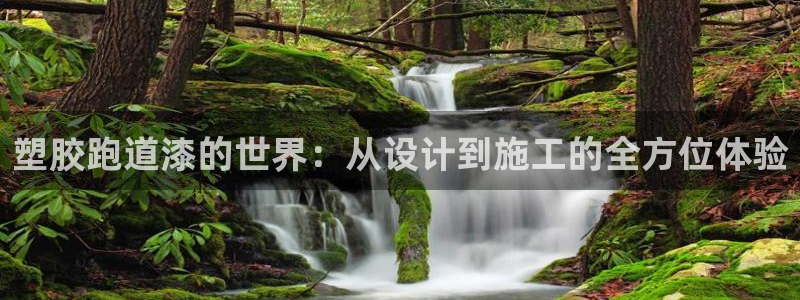 红足1世足球比分预测：塑胶跑道漆的世界：从设计到施工的全方位体验