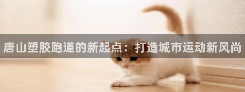 红足一1世77814:唐山塑胶跑道的新起点:打造城市运动新风尚