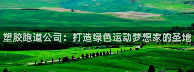 红足1一世：塑胶跑道公司：打造绿色运动梦想家的圣地