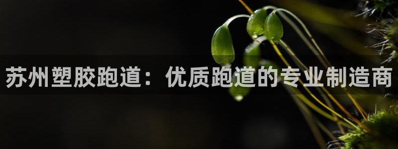 红足1世足球比分：苏州塑胶跑道：优质跑道的专业制造商