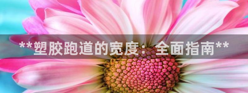 777814红·足一世比分篮球:**塑胶跑道的宽度:全面指南**