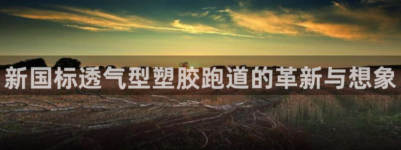 红足1世足球网址大全:新国标透气型塑胶跑道的革新与想象