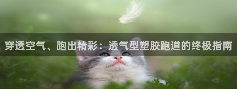 红足一1世666814足球比分网：穿透空气、跑出精彩：透气型塑胶跑道的终极指南