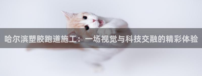 777814红·足一世比分篮球:哈尔滨塑胶跑道施工:一场视觉与科技交融的精彩体验