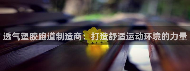 红足一1世平台：透气塑胶跑道制造商：打造舒适运动环境的力量