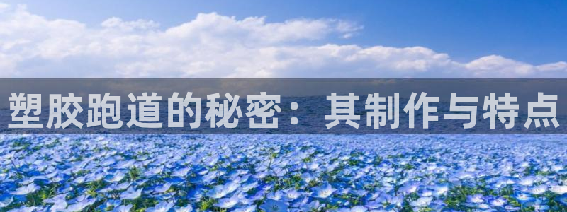 红足1世足球：塑胶跑道的秘密：其制作与特点