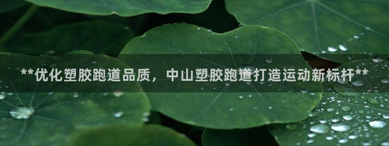 红足一1世666814足球比分网：**优化塑胶跑道品质，中山塑胶跑道打造运动新标杆**